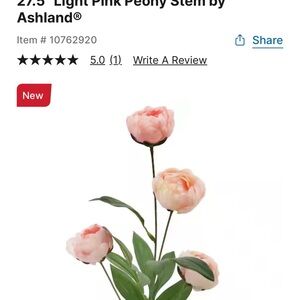 Ashland Light Pink Peony Stem